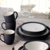 imageNoritake Colorwave Graphite 16Piece Set  Curve Service for 4 in BlackGraphite