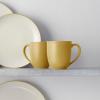 imageNoritake Colorwave Mustard 16Piece Set  Coupe Service for 4 in MustardYellow