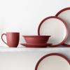 imageNoritake Colorwave Raspberry 16Piece Set  Curve Service for 4 in RaspberryRed