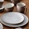 imageNoritake Colorwave Clay 20Piece Dinnerware Set Service for 4
