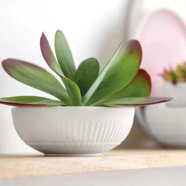 Villeroy &amp; Boch it's my match powder Serving Bowl : Blossom, 10.25 in, Premium Porcelain, White/Pink