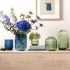 imageVilleroy ampamp Boch Fleur Vase 75 in Clear Dishwasher Safe MouthBlown and Handmade Glass VaseBlue