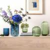 imageVilleroy ampamp Boch Fleur Vase 75 in Clear Dishwasher Safe MouthBlown and Handmade Glass VaseGreen