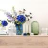 imageVilleroy ampamp Boch Fleur Vase 75 in Clear Dishwasher Safe MouthBlown and Handmade Glass VaseTransparent