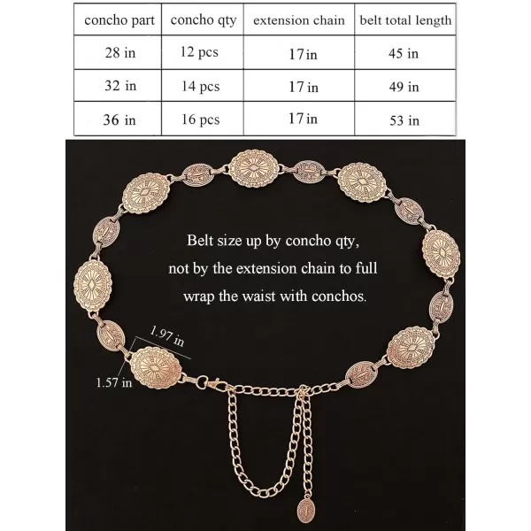 TOPACC Western Metal Concho Belt for Women Cowgirl Chain Belts for Dresses Jeans Country Concert OutfitBronze109