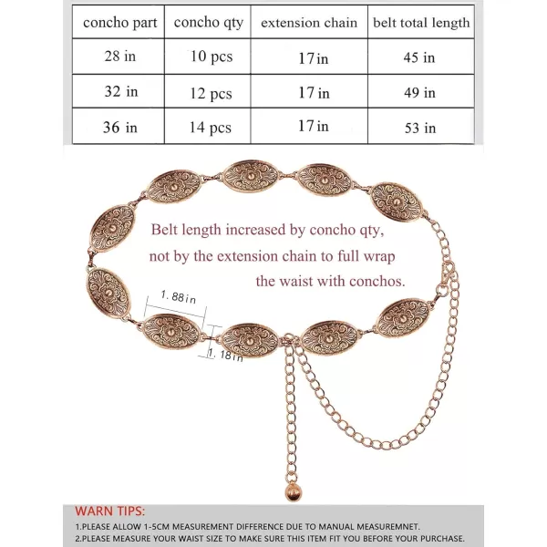 TOPACC Western Metal Concho Belt for Women Cowgirl Chain Belts for Dresses Jeans Country Concert OutfitBronze64