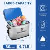 image:imageROCKBROS Backpack Cooler Waterproof 30 Can Large LeakProof Cooler Bags Insulated Portable Soft Sided Cooler for Ice Beer Drink Travel Fishing Beach Golf Picnic Camping GiftsGray