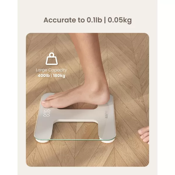 RENPHO Scale for Body Weight Bathroom Scales for Weight Weighing Machine with LED Display Highly Accurate to 01lb Upgraded Batteries Included 400 lbs180kg Capacity White Core TSWhite