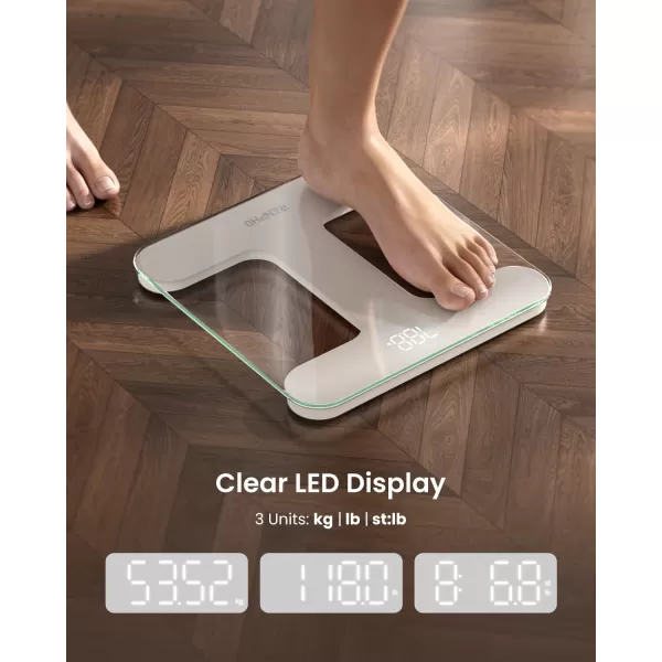 RENPHO Scale for Body Weight Bathroom Scales for Weight Weighing Machine with LED Display Highly Accurate to 01lb Upgraded Batteries Included 400 lbs180kg Capacity White Core TSWhite