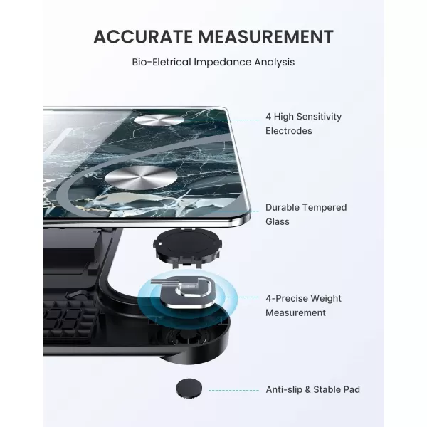 RENPHO Scale for Body Weight and Fat Percentage No Battery Replacement Solar Power Digital Bathroom Smart Scale Bluetooth Body Fat Scale Body Composition Monitor with App 400lbsElisMarble