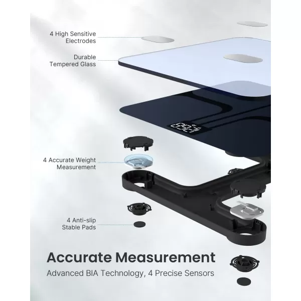 RENPHO WiFi Bluetooth Scale Smart Digital Bathroom Weight BMI Body Fat Scale Tracks 13 Metrics Wireless Body Composition Analysis ampamp Health Monitor with Lighted LED Display  Elis Aspire