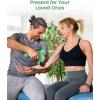 imageRENPHO Massage Gun Deep Tissue FSA HSA Eligible Portable Percussion Muscle Massager with Bluetooth Handheld Device for Back and Neck Carry Case Gifts for Men and WomenActive Green