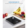 imageRENPHO Smart Food Weight Scale and RENPHO Smart Scale for Body Weight