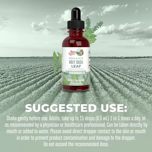 imageMaryRuth Organics Holy Basil Sugar Free  Tulsi Holy Basil Herbal Liquid Drops  Antioxidant  Cognitive Function  Digestive Support  Energy Levels  Vegan  NonGMO  1 Fl Oz