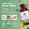 imageUSDA Organic Gripe Water for Babies by MaryRuths  Herbal Blend for Little Tummies  Baby Essentials  for Newborns  Ginger Root  Fennel Seed  Dill Seed  Vegan  4 oz  3060 Servings