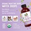 imageUSDA Organic Nighttime Gripe Water for Babies by MaryRuths  Herbal Blend for Little Tummies  Baby Essentials  Ages 0  Ginger Root  Lemon Balm  Fennel Seed  Vegan  4 oz  3060 Servings