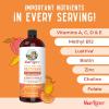 imageMaryRuths Liquid Multivitamin  Hair Growth  Clinically Tested in Women for Thicker Hair ampamp Facial Wrinkles  Biotin 10000mcg  Lustriva Hair Growth Supplements  Skin Care  Ages 18  30 Fl OzPeach Mango