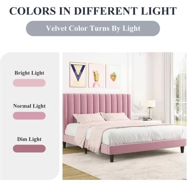 Allewie Queen Bed FrameVelvet Upholstered Bed Frame with Vertical Channel Tufted HeadboardStrong Wooden SlatsPlatform Bed FrameMattress FoundationBox Spring OptionalEasy AssemblyWhitePink