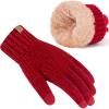 imageFZ FANTASTIC ZONE Womens Winter Gloves with Touch Screen Thermal Chenille Warm Lining Knit Gloves for Women Cold Weather GiftWine Red