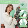 imageFZ FANTASTIC ZONE Winter Gloves for Women Chenille Warm Knit Work Touchscreen Womens Gloves for Cold Weather GiftsMint Green