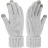 imageFZ FANTASTIC ZONE Winter Gloves for Women Chenille Warm Knit Work Touchscreen Womens Gloves for Cold Weather GiftsGray