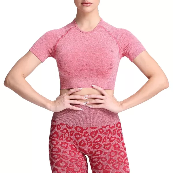 Aoxjox Womens Workout Vital Short Sleeve Seamless Crop Top Yoga Gym Sport Shirts T ShirtB Bright Red Marl Crop Tops