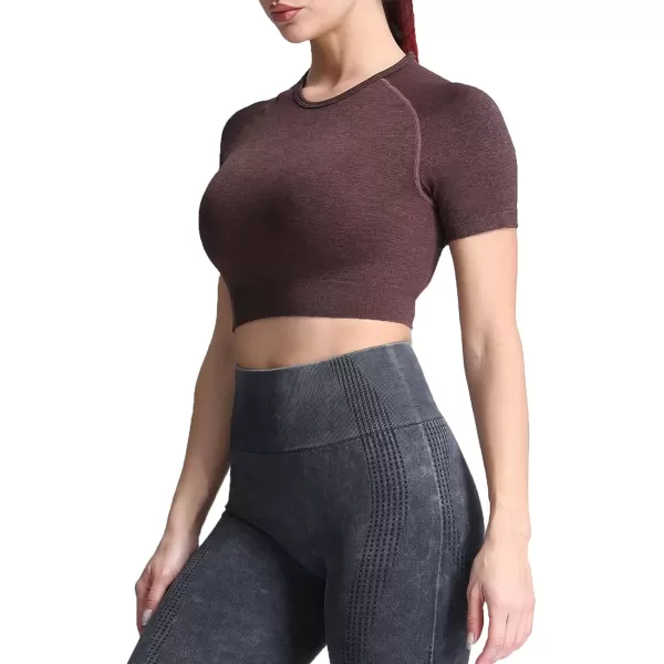 Aoxjox Womens Workout Vital Short Sleeve Seamless Crop Top Yoga Gym Sport Shirts T ShirtB Cherry Brown Marl Crop Tops