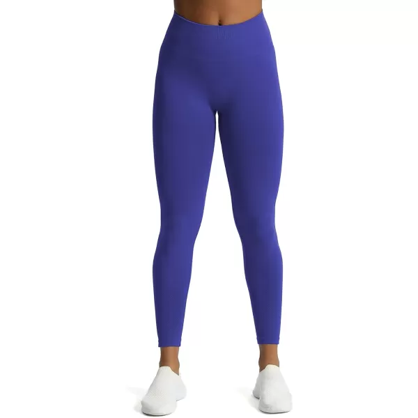 Aoxjox Workout Seamless Leggings for Women High Waisted Fitness Yoga Contour Sculpt LeggingsBluing