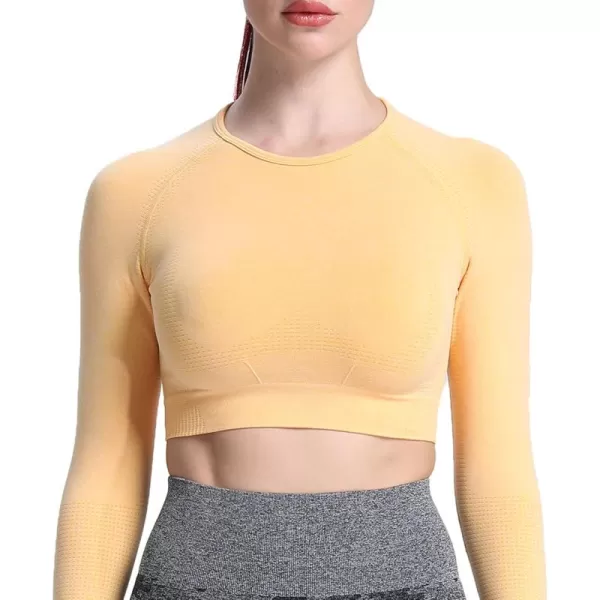 Aoxjox Long Sleeve Crop Tops for Women Vital Workout Seamless Crop T Shirt TopD Yellow Marl  Crop Top 