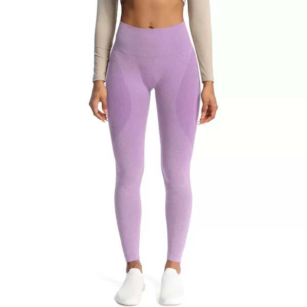 Aoxjox Workout Seamless Leggings for Women Smile Contour High Waisted Gym Yoga Pants TightsA Lupine Marl