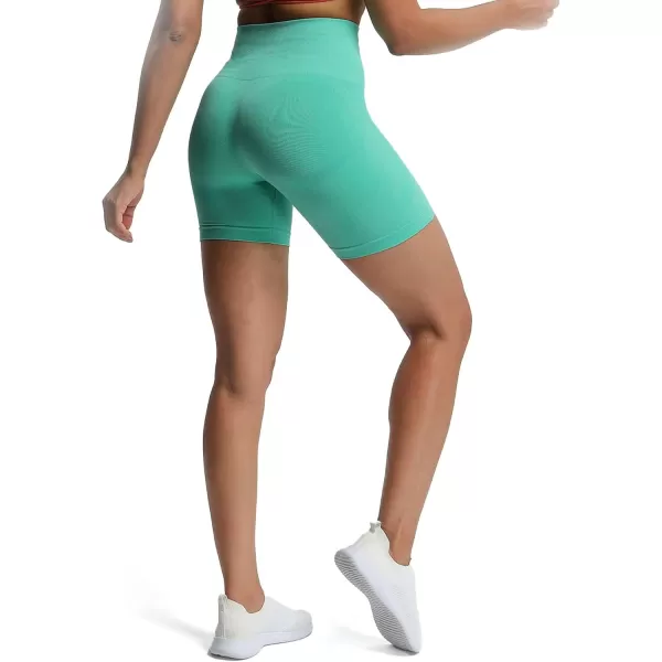 Aoxjox Contour Seamless Shorts for Women High Waist Workout Shorts Gym Biker Shorts Booty Running Yoga Shorts 5quotMint Leaf Marl