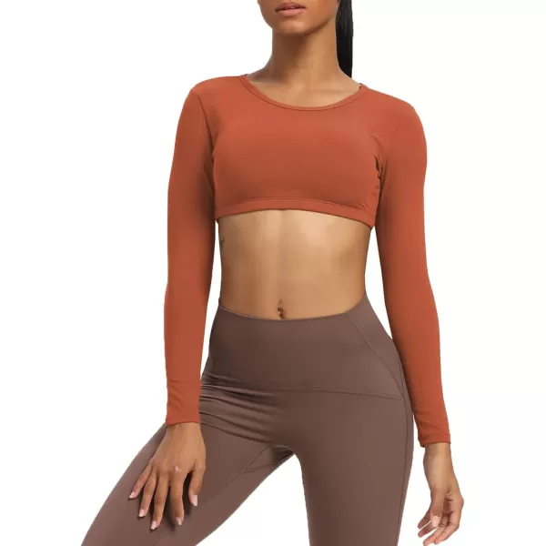 Aoxjox Long Sleeve Crop Tops for Women Clarissa Backless Workout Crop T Shirt TopEarthy Brown