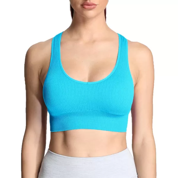 Aoxjox Womens Workout Ribbed Seamless Sports Bras Fitness Running Yoga Crop Tank TopAquarius Blue