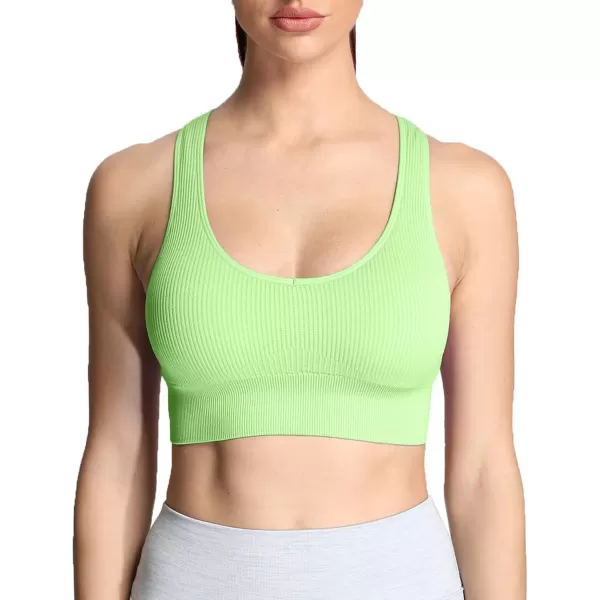 Aoxjox Womens Workout Ribbed Seamless Sports Bras Fitness Running Yoga Crop Tank TopParadise Green