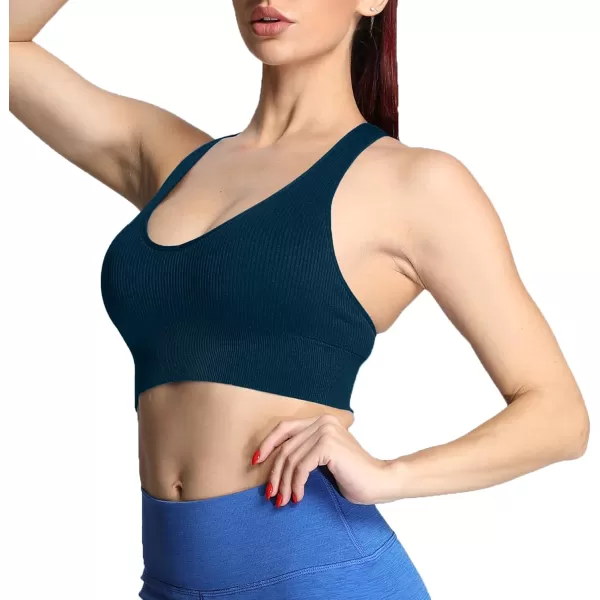 Aoxjox Womens Workout Ribbed Seamless Sports Bras Fitness Running Yoga Crop Tank TopStratified Sea