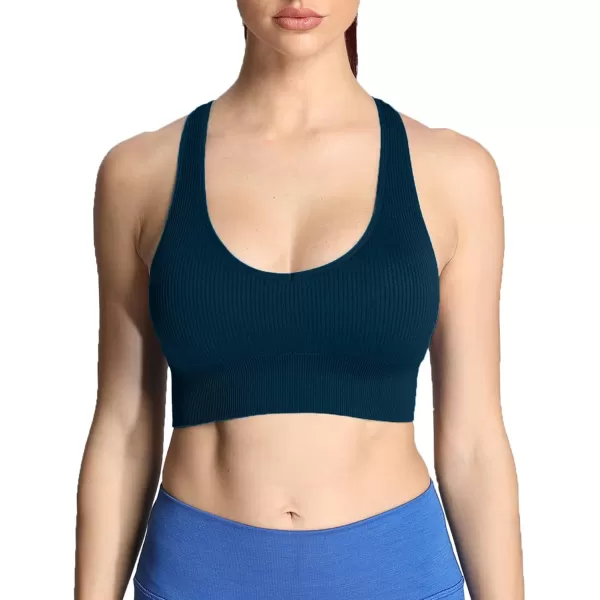 Aoxjox Womens Workout Ribbed Seamless Sports Bras Fitness Running Yoga Crop Tank TopStratified Sea
