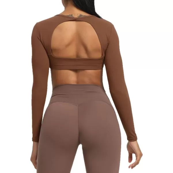Dandelion Brown