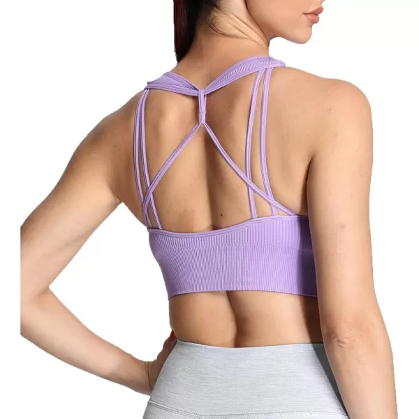 Aoxjox Womens Workout Ribbed Seamless Sports Bras Fitness Running Yoga Crop Tank TopIris