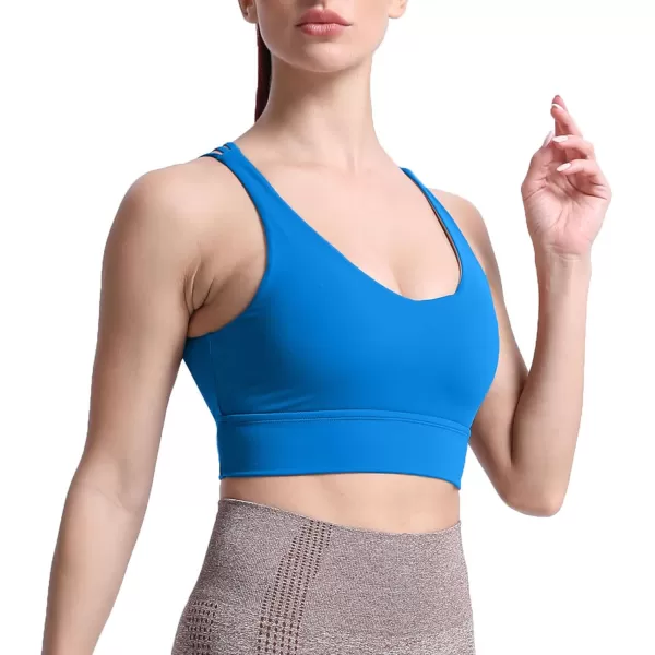 Aoxjox Caged Sports Bras for Women High Impact Fitness Running MultiCross Back Training Yoga Crop Tank Workout TopsDirectoire Blue