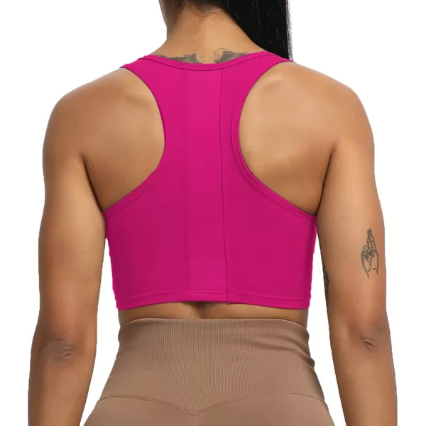 imageAoxjox Womens Workout Sports Bras Fitness Backless Viviana Padded Mesh Bra Yoga Crop Tank TopRose Red
