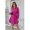 imageECOWISH Womens Dress Long Sleeve Casual Button Down Shirt Dress Loose Fall Dress V Neck Color Block Mini Dress Pockets BeltVrose Red