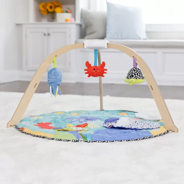 imageMelissa ampamp Doug Ocean EasyFold Wooden Play Gym for Infants Reversible Mat 5 Soft Toys Birth to 9 Months  FSCCertified