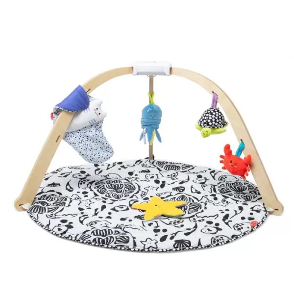 imageMelissa ampamp Doug Ocean EasyFold Wooden Play Gym for Infants Reversible Mat 5 Soft Toys Birth to 9 Months  FSCCertified