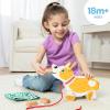 imageMelissa ampamp Doug Feed Walk ampamp Poo Pup Wooden Preschool Pull Toy Play Set Ages 3  FSC Certified
