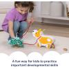 imageMelissa ampamp Doug Feed Walk ampamp Poo Pup Wooden Preschool Pull Toy Play Set Ages 3  FSC Certified