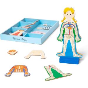imageMelissa ampamp Doug Magnetic Human Body Anatomy Play Set with 24 Magnetic Pieces and Storage Tray