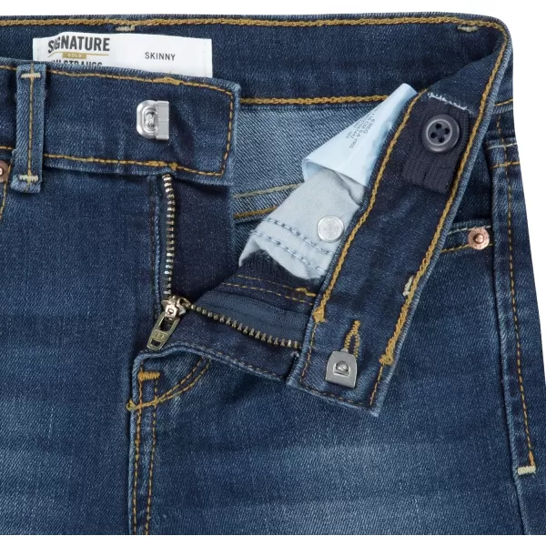 imageSignature by Levi Strauss ampamp Co Gold Girls Skinny JeansMy Pony