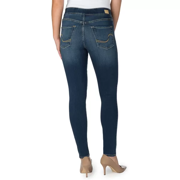 imageSignature by Levi Strauss ampamp Co Gold Womens Totally Shaping Pullon Skinny Jeans Available in Plus SizeHarmony