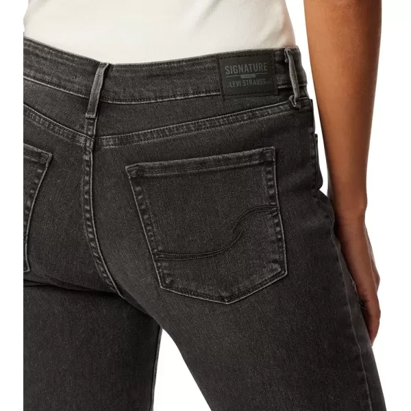 imageSignature by Levi Strauss ampamp Co Womens Modern Straight JeansMoonlit