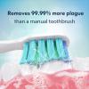 imageDADATECH Electric Toothbrush for Adults and Kids Sonic Toothbrush Rechargeable with 9 Brush Heads 5 Modes and 2 Minutes Smart Timer 4Hours Charge for 60 Days Roman Column Handle PinkPink New
